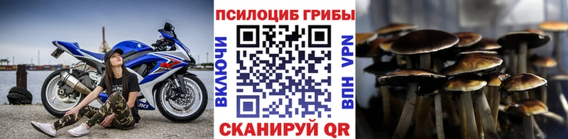 Псилоцибиновые грибы Psilocybine cubensis Пугачёв