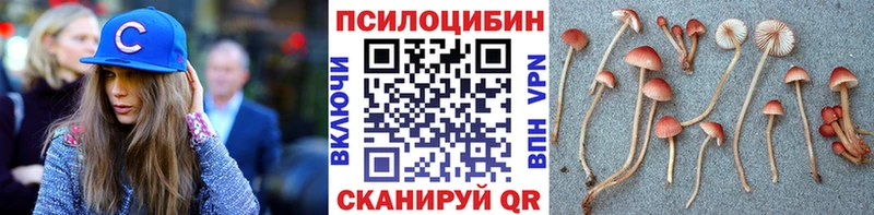 Галлюциногенные грибы ЛСД  Пугачёв 