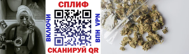 KRAKEN как войти  Пугачёв  Канабис Amnesia 
